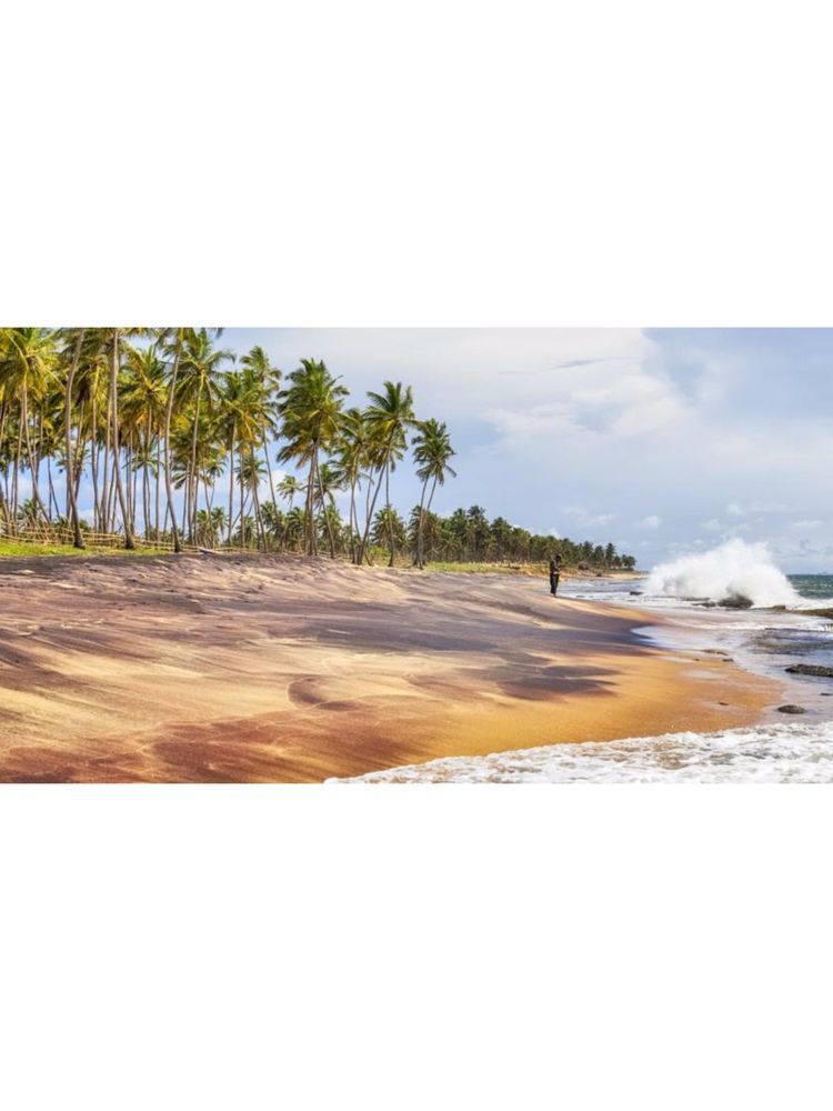 Sujeewani Villa Negombo Kültér fotó
